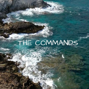 Haleh Houshim - The Commands